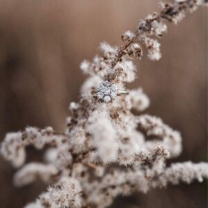 Gallery Photo 6