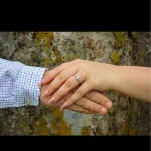 Gallery Photo 24