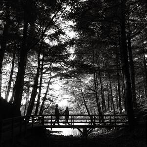 Gallery Photo 5