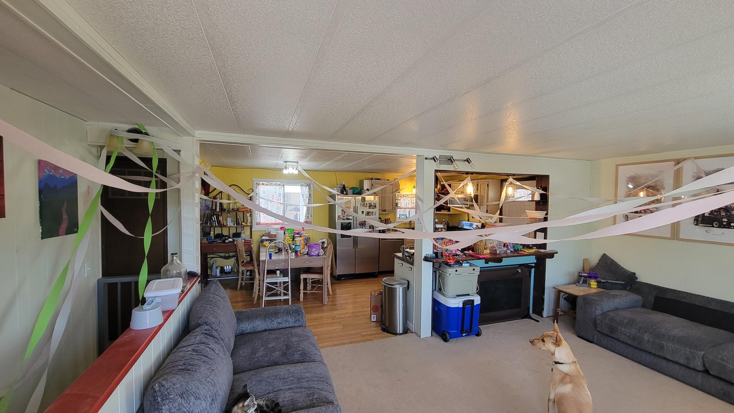First time the Easter Bunny streamer-bombed Alex's house
