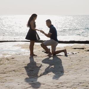 Gallery Photo 33