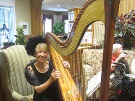 Mary Ellen Holmes - Harpist - Fort Collins, CO - Hero Gallery 2