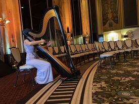 Devon Carpenter, The Classic Harpist - Harpist - Jacksonville, IL - Hero Gallery 4