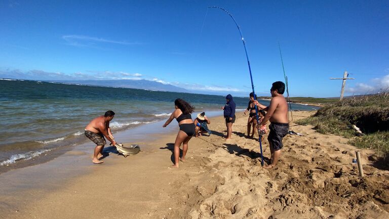 Hook em Kawika. Everyone was cheering Joey on during this 10 minute fight with this manō. 