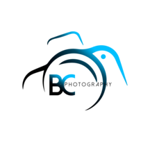 Vendor Logo
