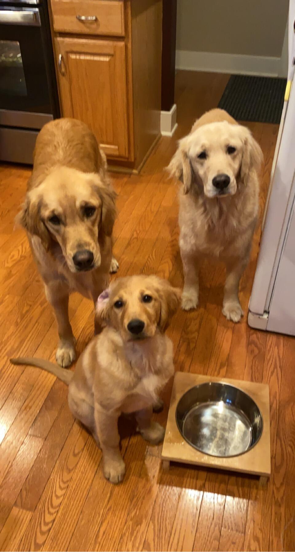 Added a third to the clan (Maui)