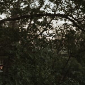 Gallery Photo 21