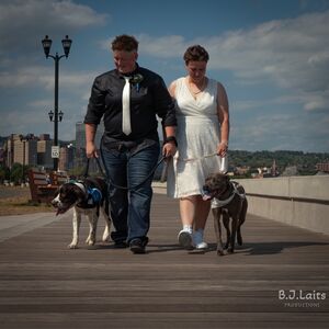 Gallery Photo 17
