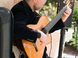 Martin Metzger - Flamenco Guitarist - Evanston, IL - Hero Gallery 3