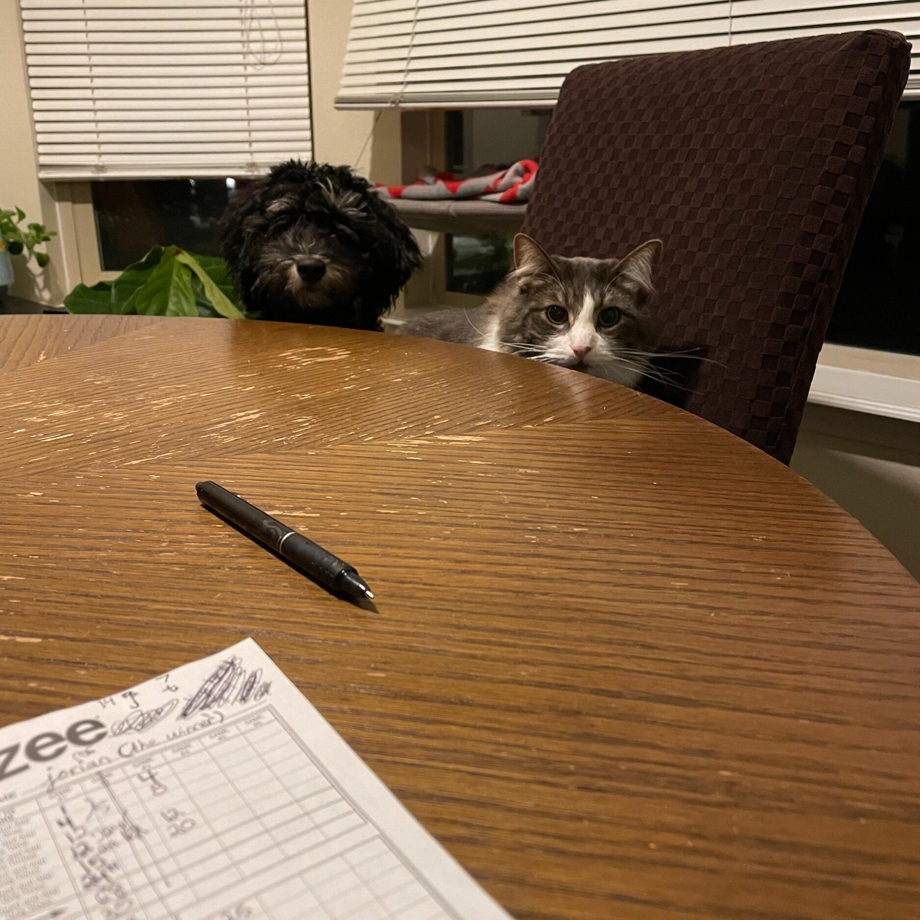 Game night at our first apartment together 🤎
