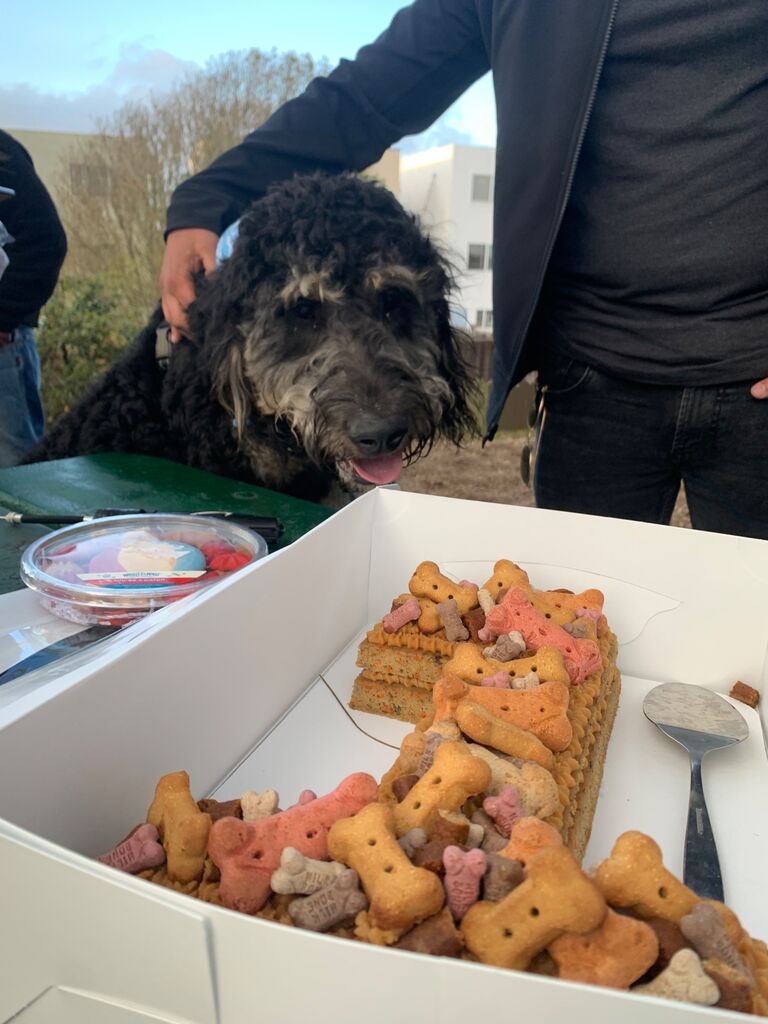 Dallas Turns 1