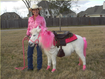 Hitchin Post Stables & Ponies - Petting Zoo - Houston, TX - Hero Main