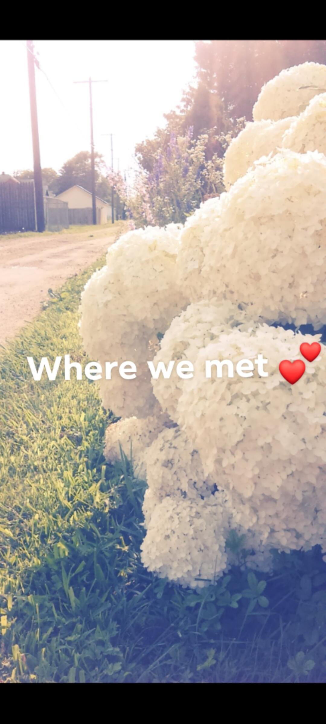 The place we met and started an amazing friendship that would blossom into a relationship. 

Carrmen:
"When I met Dustin the first thing that stood out to me was his sarcasm. He was quick with a joke and super friendly. He definitely caught my attention."

Dustin:
"Introverted at first but she eventually came out of her shell. She was always down for an adventure or even just a cruise around town. Kind of like a dog. Head out the window and everything. She has a big heart and always thinks of things I never could on how to keep the romance alive."