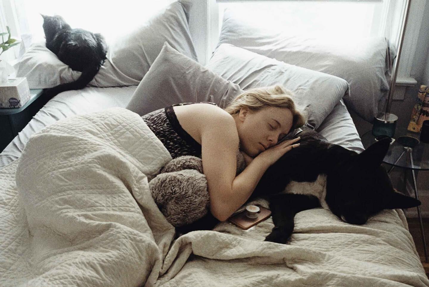 K starts liking T's dog, Chewy, despite not being a dog person. Chewy is being brought to K's apartment despite the landlord's strict no dog policy.