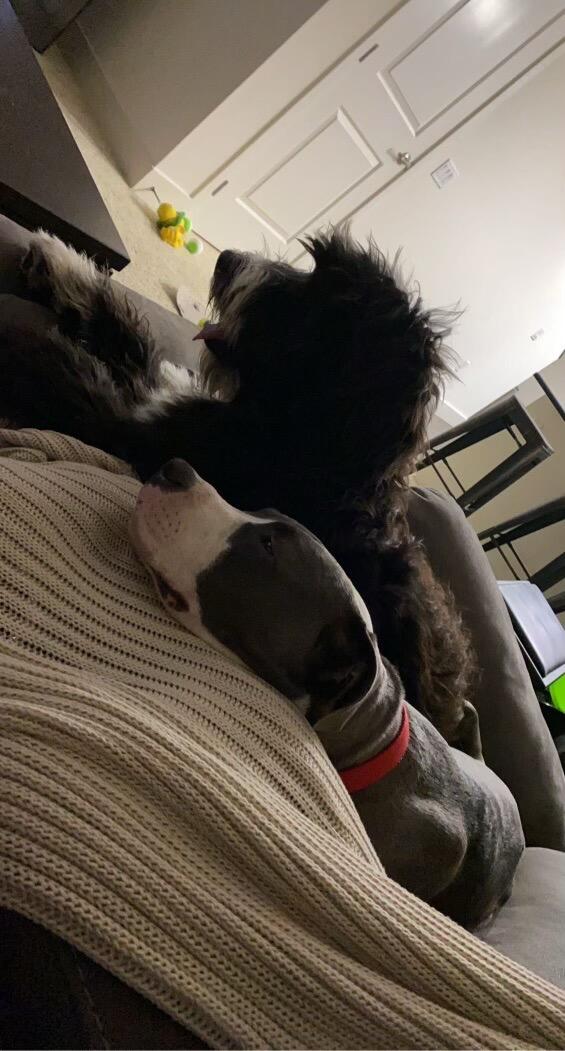 Roscoe and Drauger the first night they met. The deciding factor if this relationship was going to work. 