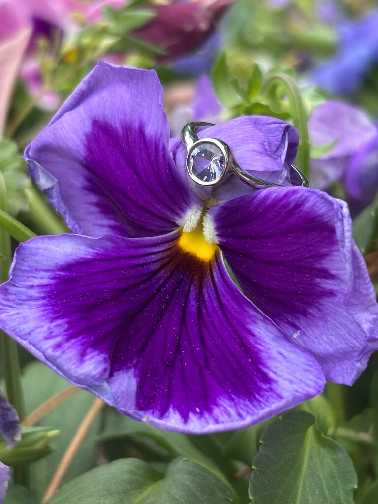 On their 3 year anniversary, they went to the Life and Science Museum to celebrate. While watching the butterflies in the Butterfly House, Keegan got down on one knee and proposed.