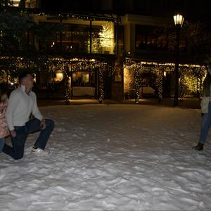 Gallery Photo 7
