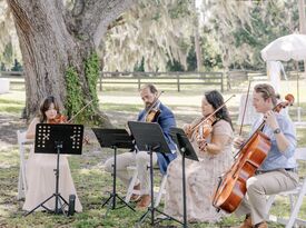 Anthology Entertainment - String Quartet - Orlando, FL - Hero Gallery 3
