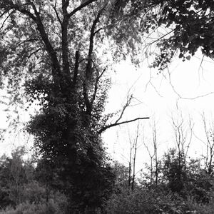 Gallery Photo 10
