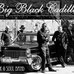 Big Black Cadillac - Funk & Soul Band, profile image