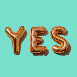 Yes & Well Co, profile image