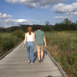 Gallery Photo 8