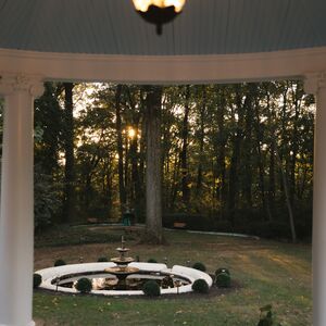 Gallery Photo 201