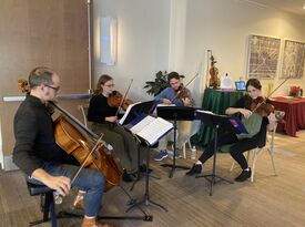 Viva la Strings - String Quartet - Dayton, OH - Hero Gallery 4