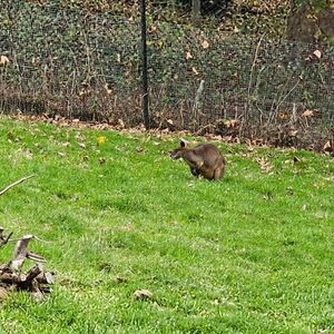Gallery Photo 153