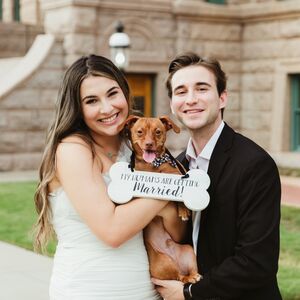 Gallery Photo 14