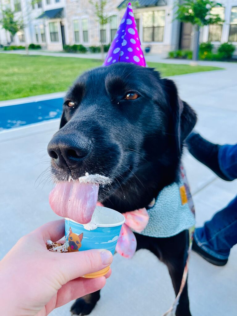 Celebrating Beatrix's birthday. She turned 2!