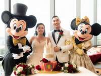 disney wedding reception with mickey and minnie