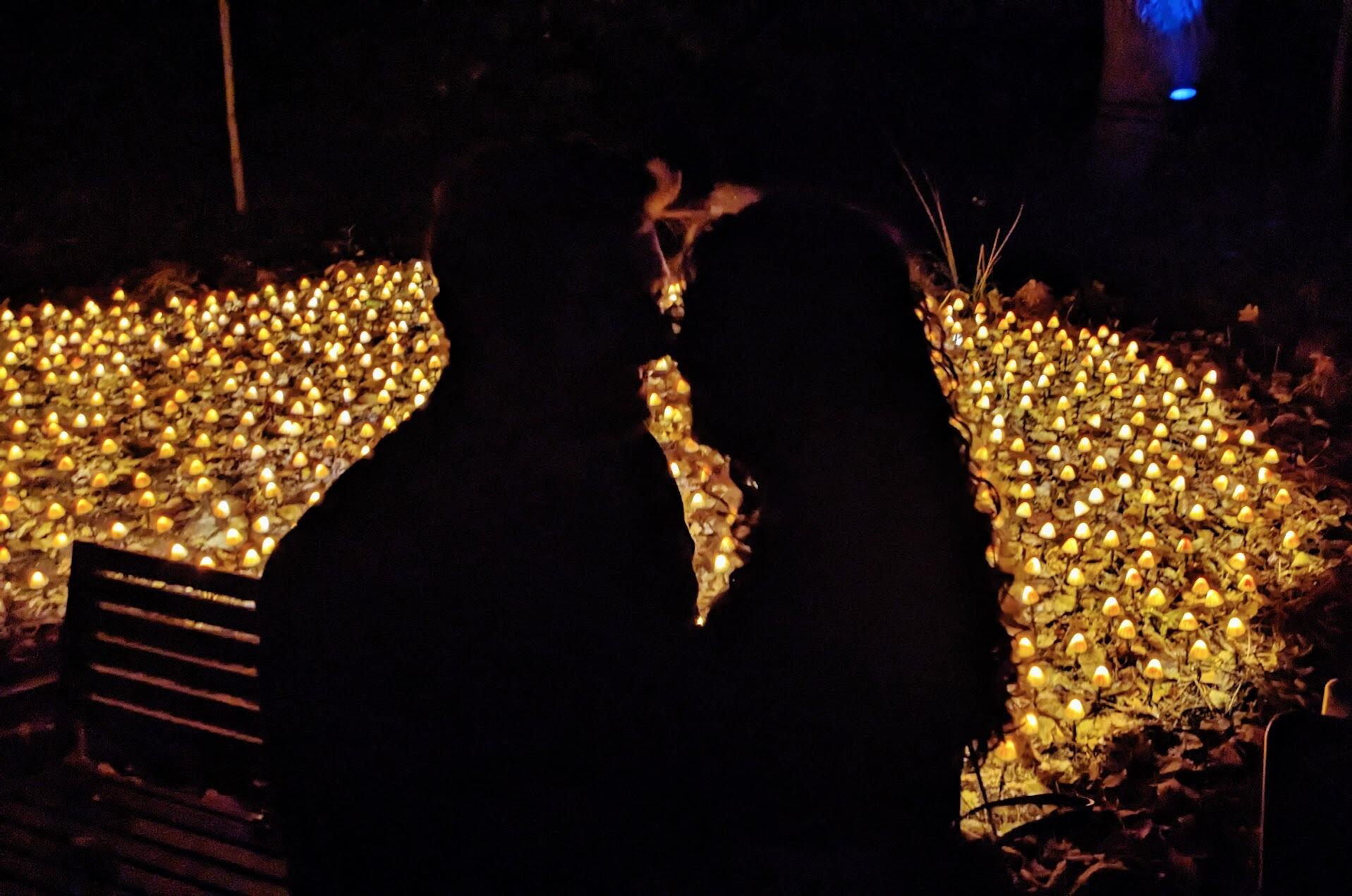 We did Cheesy romantic stuff too...