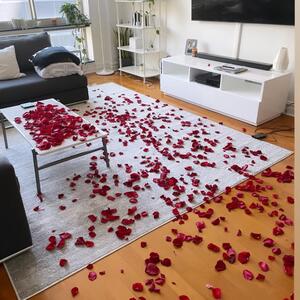 Gallery Photo 34