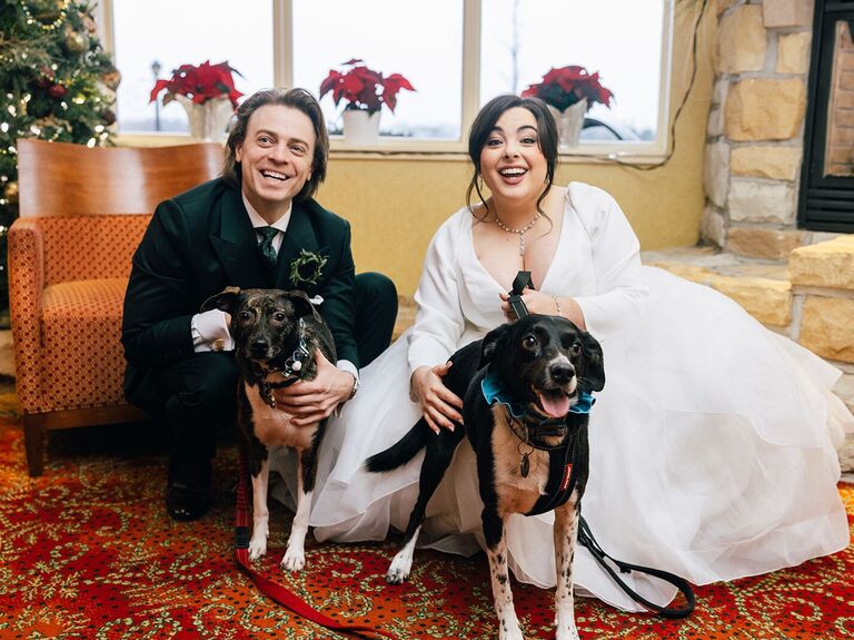 Couple on their wedding day with their dogs