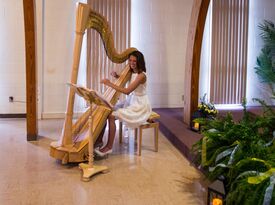 Natalie Hoffmann, Harpist - Harpist - Ottawa, ON - Hero Gallery 1