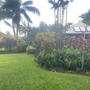 Gallery Photo 25