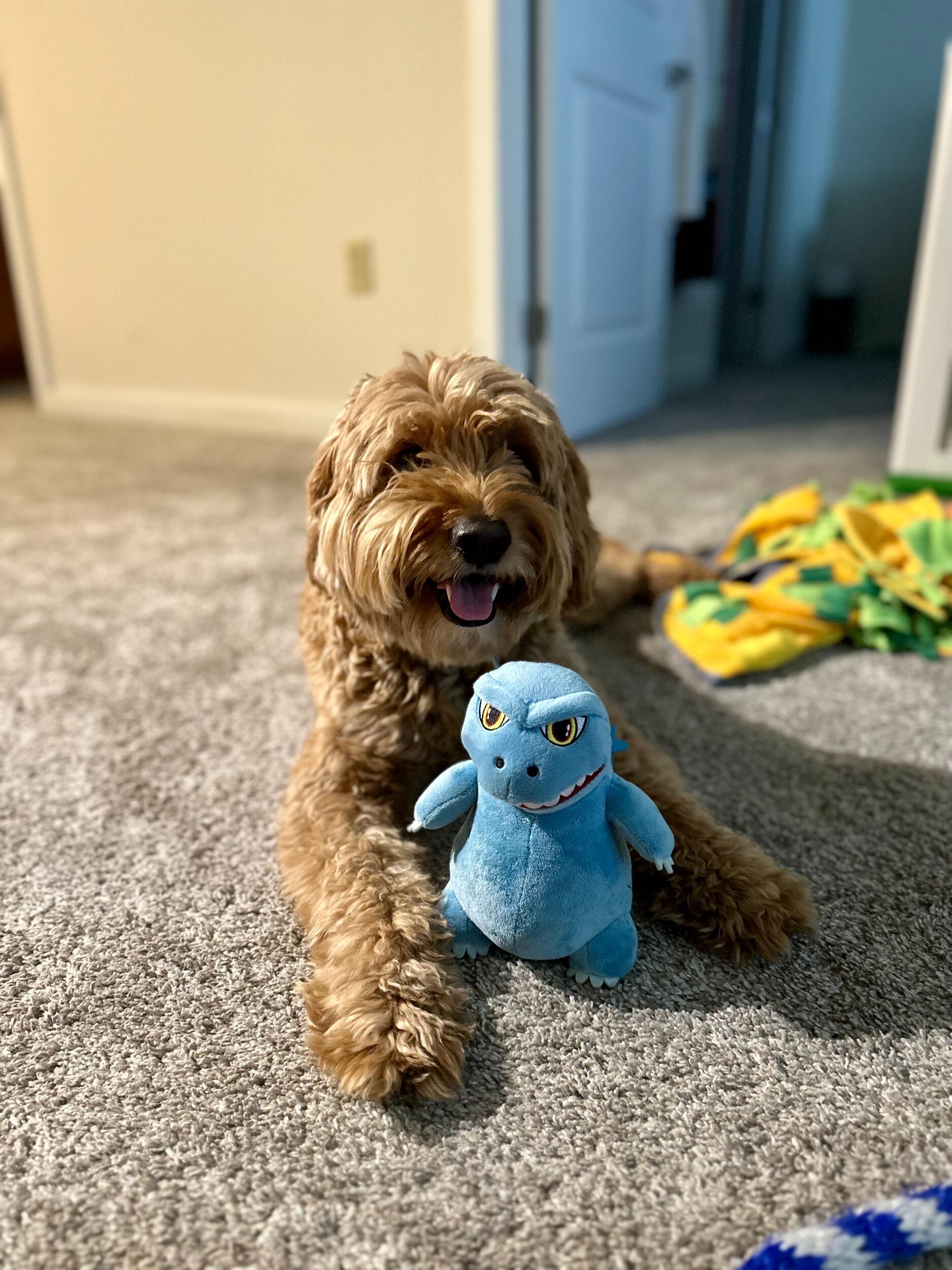 The Godzilla toy Nate gave Babka was her favorite while he was deployed.