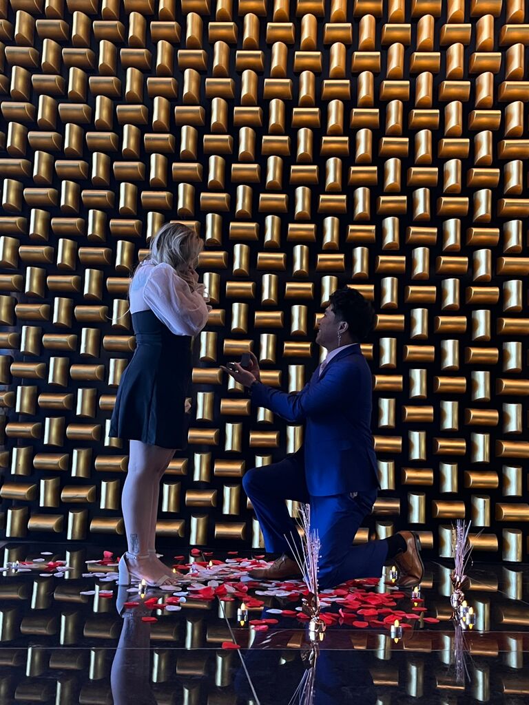 The proposal!