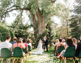 microwedding backyard might tree 