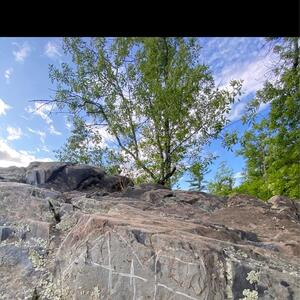 Gallery Photo 25