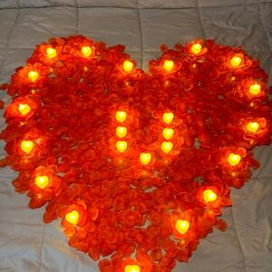 Gallery Photo 24