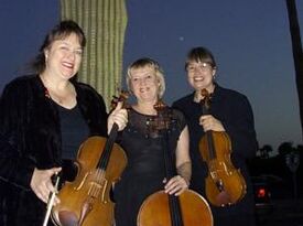 Four Seasons String Quartet - String Quartet - Scottsdale, AZ - Hero Gallery 2