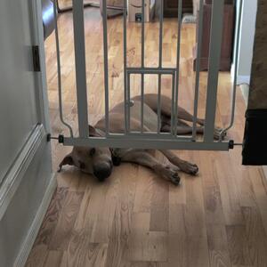 Gallery Photo 10
