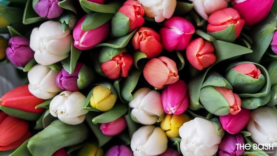 Happy Mother's Day Zoom Background