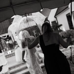Gallery Photo 220