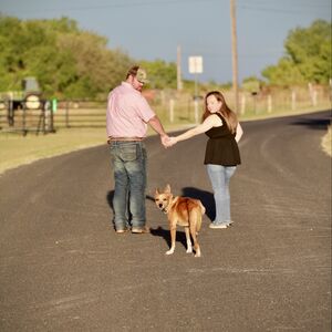 Gallery Photo 17