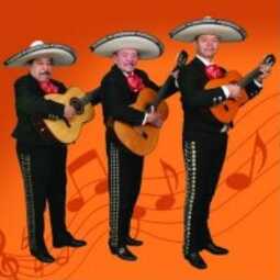 Mariachi Trio Guitarras De Mexico, profile image