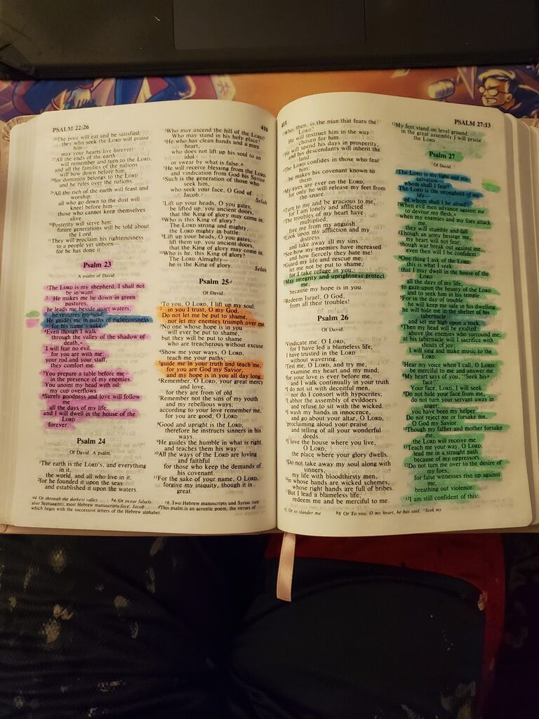 Derek spends 6 months making Abby a personalized highlighted Bible for her birthday