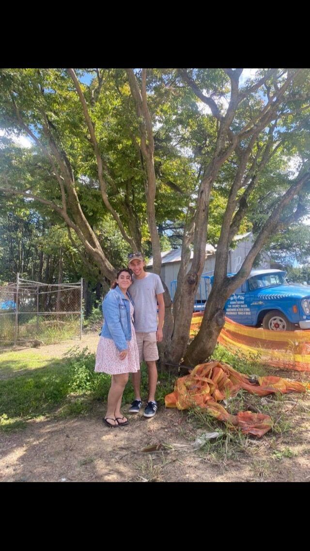 The famous tree to those who know 